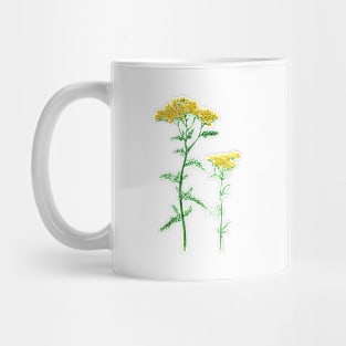 November 26th birthday flower Mug